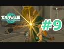【実況】ぶらりゼルダの伝説ティアーズオブザキングダムpart9【ティアキン】