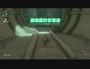 【ゼル伝TotK】おててと旅するリンクさん　パート４【もちまる】