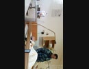 1 of 2 Visit at father My 18th 2023