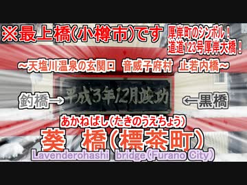 葵（赤）