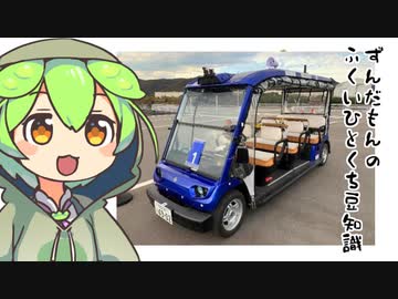 ずんだもん「自動運転のテスト会場なのだ」