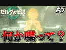 ゼルダ姫、何か喋って？【ゼルダの伝説 ティアーズ オブ キングダム】実況プレイ part5