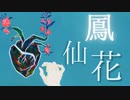 Coppy.【鳳仙花】MV