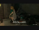 【ゼル伝TotK】おててと旅するリンクさん　パート５【もちまる】
