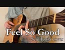 Feel So Good | Seiji Igusa　をアコギで弾いてみました。