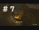 【ゼルダの伝説ティアーズオブザキングダム】#７　ついに滑空！さらに新天地！！！探索始めないと。