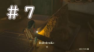 【ゼルダの伝説ティアーズオブザキングダム】#７　ついに滑空！さらに新天地！！！探索始めないと。