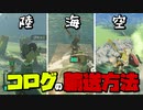 面倒くさいコログの輸送方法を陸海空に分けて紹介【ゼルダの伝説ティアーズオブキングダム】