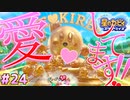 【星のカービィスターアライズ】#24 カービィ愛してますか【初見プレイ】