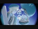 【人力原神】運i命【カーヴェ/アルハイゼン】