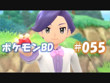 【ポケモンBD】りかけいのおとこ、シンオウ地方を往く【毒タイプ縛り・初プレイ】 実況プレイ part55
