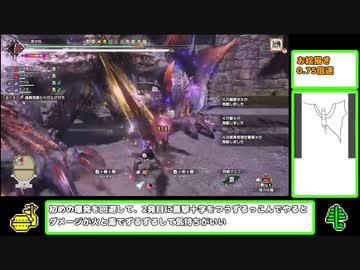 【特別討究】狩人な種アイコンの開国シャガル討伐【MHRise:SB】