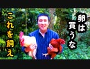 【ぴ】卵を無料で食べる方法。卵の自給自足　養鶏のすすめ