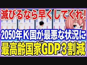 滅びるなら早くしてくれ！K国が2050年に最悪な状況を迎えると警告！最高齢国家のGDPは3割減！【2023/05/19】