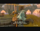 【実況】９年間ゲーム実況したかった女の初実況#6【ゼルダの伝説 ティアーズオブザキングダム】