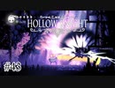 ビームバカ再び【Hollow Knight】#43