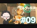 【実況プレイ】 ゼルダの伝説 ティアーズオブザキングダム part09 【いちご大福】