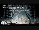 印を刻め【Hollow Knight】#45