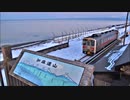 【のら】2023年2月 流氷とゴーヨン撮影チャレンジ