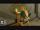 【実況】空の島から始まる新たな冒険【ゼルダの伝説 ティアーズ オブ ザ キングダム】part8