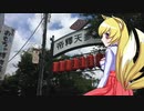 ヒヨリちゃんのお散歩_葛飾②