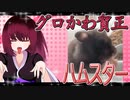 グロかわちゃんのハムスターの日常。26