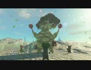 【ゼルダの伝説TOK】ウンチャカだけ聞きたい事ってあるよね【ショート】