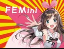 FEMini