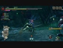 MHR_part73_傀異調査-アケノシルム
