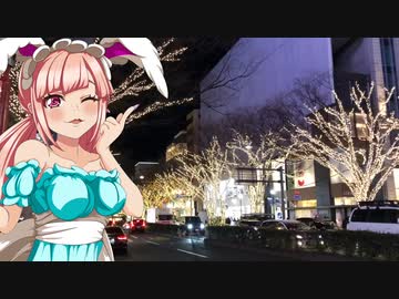 クリス_料理　 表参道・蜂蜜たっぷりパンケーキ【飯テロ】