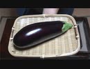 米ナス、ソラマメ【長火鉢とおっさん310】