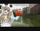 お散歩_皇居外苑①