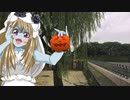 お散歩_皇居外苑②