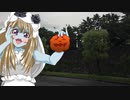 お散歩_皇居外苑③