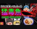 【2014年】"青酸カリの1000倍"猛毒魚を友人に振舞ってしまった男性…『ショウサイフグ食中毒事件』【ゆっくり解説】