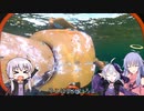 工作民ゆかりが挑む深海クラフト【サブノーティカ】part5