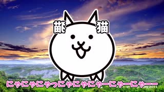 Nyanko from the far east