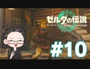 【実況プレイ】 ゼルダの伝説 ティアーズオブザキングダム part10 【いちご大福】