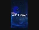 Wild Flowerを叩いてみた