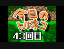 超不定期更新 今日のトルネコ 43回目