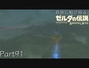 【プレイ動画】自由に駆け巡るゼルダの伝説ブレスオブザワイルド Part91