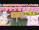 【マイクラ】泥建に忍び込もうとするもセキュリティが高すぎて完全敗北するぺこら