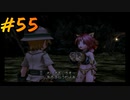 ダーククロニクルを懐かしみながらプレイ#55