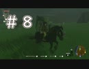 【ゼルダの伝説ティアーズオブザキングダム】#８　この馬はどうしたらなついてくれますか。