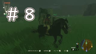 【ゼルダの伝説ティアーズオブザキングダム】#８　この馬はどうしたらなついてくれますか。