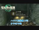 【ゼルダの伝説】オヤミオの祠 ハイリア装備全部入手  Part 21【ティアーズ オブ ザ キングダム(ネタばれあり)】