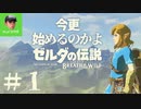 今更始めるのかよ『 ゼルダの伝説 ブレス オブ ザ ワイルド 』#１