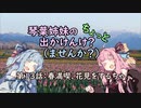 【琴葉姉妹車載】琴葉姉妹のちょっと出かけんけ？～春満喫、花見をするちゃ【GLADIUS400】