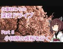 【VOICEROID車載】仕事終わりの深夜ドライブ part8 小田原の夜桜を行く【東北きりたん】