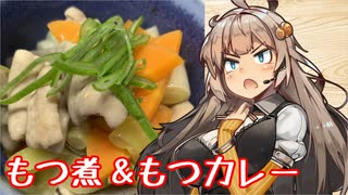 え、臓物たっぷりの料理を！？【もつ煮込み】